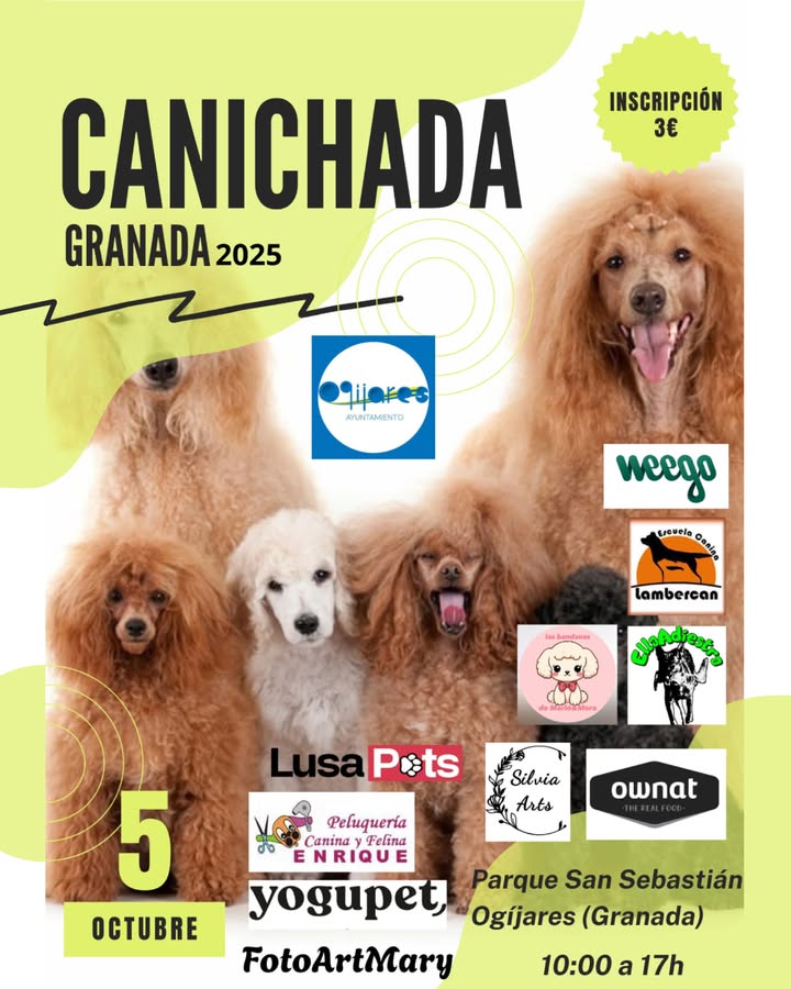 🐩✨ ¡El domingo es el gran día!  
  
La Canichada Granada 2025 llega a Ogíjares para reunir a todos los amantes de los caniches en una jornada lle...