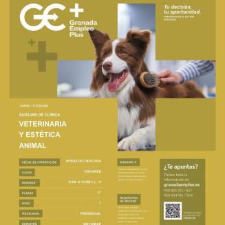 Curso gratuito de Auxiliar de Clínica Veterinaria y Estética Animal