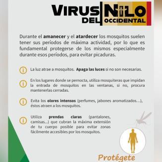 🦟 Con el calor… ¡vuelven los mosquitos!  
  
Y con ellos, las picaduras molestas (y a veces peligrosas). Pero con unos sencillos gestos, puedes pr...