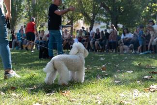 🐾 CANICHADA GRANADA 2025 | Parque de San Sebastián  
  
Ogíjares se llenó ayer de simpatía, alegría y muchos ladridos con la Canichada Granada 202...