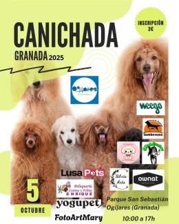🐩✨ ¡El domingo es el gran día!  
  
La Canichada Granada 2025 llega a Ogíjares para reunir a todos los amantes de los caniches en una jornada lle...