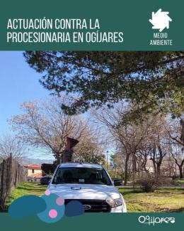 Desde la Concejalía de Medio Ambiente, hemos llevado a cabo tratamientos contra la procesionaria en distintas zonas del municipio mediante una empr...