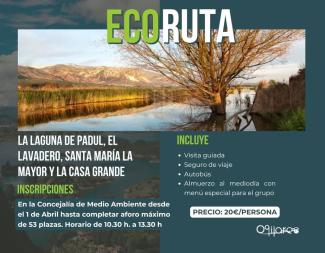 🌿 Ruta medioambiental: La Laguna de Padul  
  
📅 Domingo 12 de abril  
🕣 Salida a las 08:30 h (Parada de Bus Carretera Granada)  
🕓 Regreso a l...