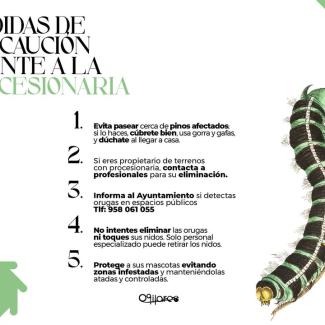 🚨 MEDIDAS DE PREVENCIÓN FRENTE A LA PROCESIONARIA DEL PINO 🚨  
  
Durante los meses de febrero y marzo, la oruga procesionaria comienza a descend...