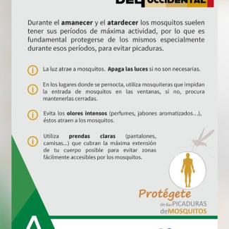 🦟 Con el calor… ¡vuelven los mosquitos!  
  
Y con ellos, las picaduras molestas (y a veces peligrosas). Pero con unos sencillos gestos, puedes pr...