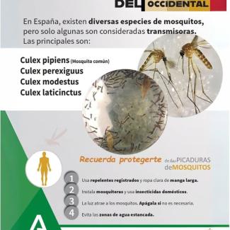 ¿Sabías que no todos los mosquitos pican igual?  
  
🦟 En el caso del Virus del Nilo Occidental, los mosquitos del género Culex son los principale...
