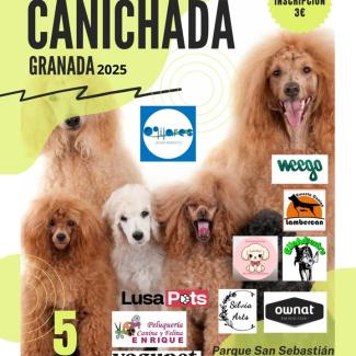 🐩✨ ¡El domingo es el gran día!  
  
La Canichada Granada 2025 llega a Ogíjares para reunir a todos los amantes de los caniches en una jornada lle...