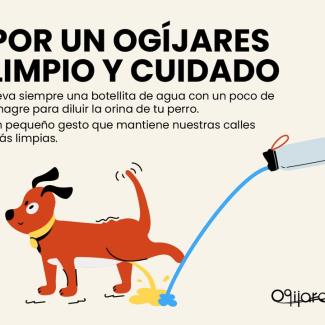 🐾 Mantener Ogíjares limpio y bonito es tarea de todos.  
  
Nuestros perros son parte de la familia y disfrutar de pasear con ellos por nuestras c...