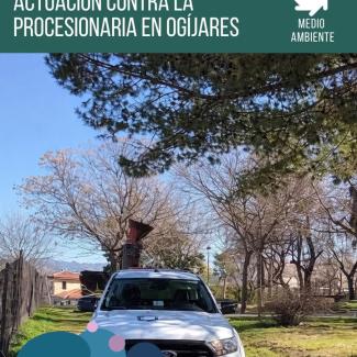 Desde la Concejalía de Medio Ambiente, hemos llevado a cabo tratamientos contra la procesionaria en distintas zonas del municipio mediante una empr...