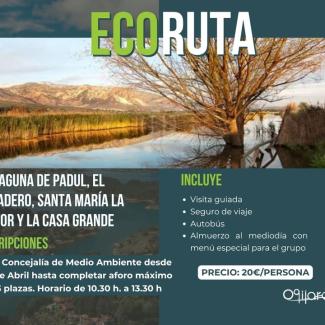 🌿 Ruta medioambiental: La Laguna de Padul  
  
📅 Domingo 12 de abril  
🕣 Salida a las 08:30 h (Parada de Bus Carretera Granada)  
🕓 Regreso a l...
