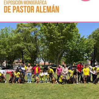 🐕‍🦺 Exposición monográfica del Pastor Alemán en Ogíjares  
  
Compartimos las imágenes de la mañana del pasado domingo, en la que nuestro municip...