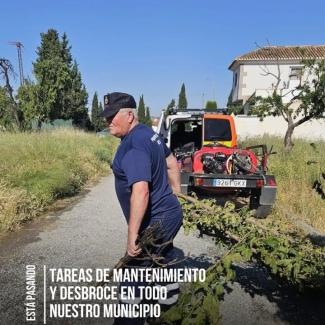 🚒🌿 Desde la Concejalía de Protección Civil se continúa trabajando en labores de desbroce y limpieza de solares y descampados para prevenir incend...