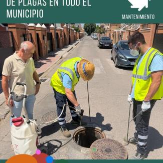 🦟🚫 Desde la Concejalía de Medio Ambiente se está desarrollando una campaña de control de plagas en distintos puntos del municipio, centrada en la...