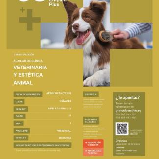 🐾 ¿Te gustaría formarte para trabajar en el cuidado y la atención de animales?  
  
Granada Empleo Plus pone en marcha en Ogíjares la segunda edic...