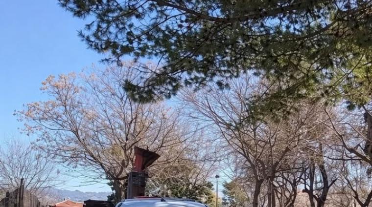Desde la Concejalía de Medio Ambiente, hemos llevado a cabo tratamientos contra la procesionaria en distintas zonas del municipio mediante una empr...